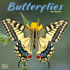 Avonside Publishing Ltd Butterflies 2027 Calendar Square Wall Calendar Animal Gift Plastic Free Packaging by Avonside Publishing Avonside Publishing Ltd Butterflies 2027 Calendar Square Wall Calendar Animal Gift Plastic Free Packaging by Avonside Publishing