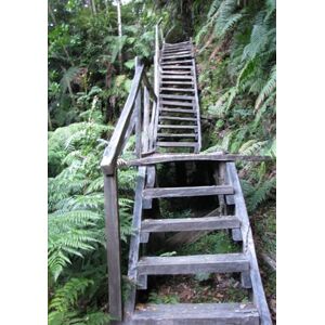 Cobb, Clifford G Ready for Anything: Catechism for Adulthood Cobb, Clifford G Ready for Anything: Catechism for Adulthood