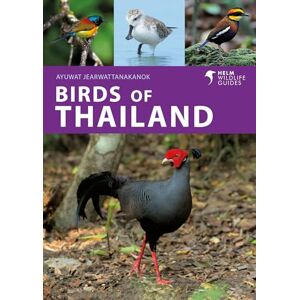 Ayuwat Jearwattanakanok Birds of Thailand (Helm Wildlife Guides) Ayuwat Jearwattanakanok Birds of Thailand (Helm Wildlife Guides)