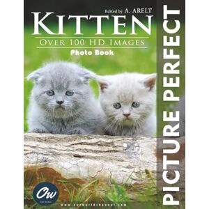 World, Our Kitten: Picture Perfect Photo Book World, Our Kitten: Picture Perfect Photo Book