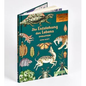 Munro, Fiona Die Entstehung des Lebens. Evolution: Eintritt frei! Sachbilderbuch im edlen Geschenkbuch-Format für Kinder ab 8 Jahren mit meisterhaften Illustrationen von Katie Scott Munro, Fiona Die Entstehung des Lebens. Evolution: Eintritt frei! Sachbilderbuch im edlen Geschenkbuch-Format für Kinder ab 8 Jahren mit meisterhaften Illustrationen von Katie Scott