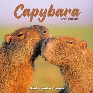 Avonside Publishing Ltd Capybara 2026 Calendar Square Wall Calendar Animal Gift Plastic Free Packaging by Avonside Publishing Avonside Publishing Ltd Capybara 2026 Calendar Square Wall Calendar Animal Gift Plastic Free Packaging by Avonside Publishing