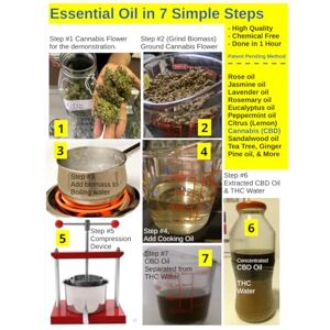 ofili, g e Essential Oil in 7 Simple Steps: High Quality, Chemical Free, Done in 1 hour (The Engineer's Apprentice) ofili, g e Essential Oil in 7 Simple Steps: High Quality, Chemical Free, Done in 1 hour (The Engineer's Apprentice)