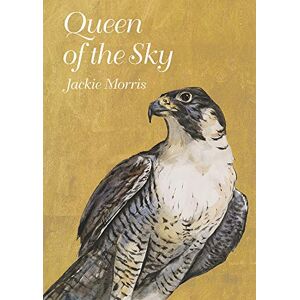 Jackie Morris Queen of the Sky: 1 Jackie Morris Queen of the Sky: 1