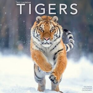 Avonside Publishing Ltd Tigers 2027 Calendar Square Wall Calendar Animal Gift Plastic Free Packaging by Avonside Publishing Avonside Publishing Ltd Tigers 2027 Calendar Square Wall Calendar Animal Gift Plastic Free Packaging by Avonside Publishing