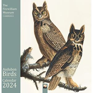 Flame Tree Calendars Fitzwilliam Museum: Audubon Birds Wall Calendar 2024 (Art Calendar) Flame Tree Calendars Fitzwilliam Museum: Audubon Birds Wall Calendar 2024 (Art Calendar)
