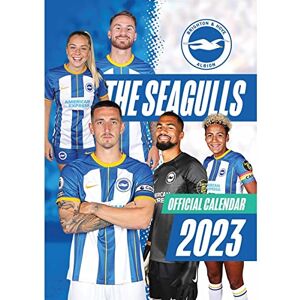 twocan The Official Brighton & Hove Albion FC Calendar 2023 twocan The Official Brighton & Hove Albion FC Calendar 2023