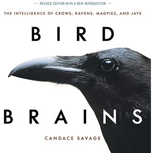 Savage, Candace Bird Brains: The Intelligence of Crows, Ravens, Magpies, and Jays Savage, Candace Bird Brains: The Intelligence of Crows, Ravens, Magpies, and Jays