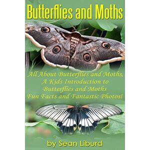 Liburd, Mr. Sean I Butterflies and Moths:: All about Butterflies and Moths, a Kids Introduction to Butterflies and Moths–Fun Facts and Fantastic Photos! Liburd, Mr. Sean I Butterflies and Moths:: All about Butterflies and Moths, a Kids Introduction to Butterflies and Moths–Fun Facts and Fantastic Photos!