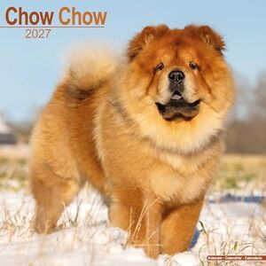 Avonside Publishing Ltd Chow Chow 2027 Calendar Square Wall Calendar Dog Breed Gift Plastic Free Packaging by Avonside Publishing Avonside Publishing Ltd Chow Chow 2027 Calendar Square Wall Calendar Dog Breed Gift Plastic Free Packaging by Avonside Publishing