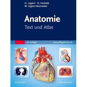 Lippert, Herbert Anatomie: Text und Atlas (PFLEGE Lehrbuch Urban & Fischer Verlag) Lippert, Herbert Anatomie: Text und Atlas (PFLEGE Lehrbuch Urban & Fischer Verlag)