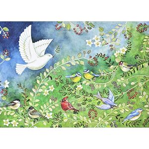 Peter Pauper Press Birds and Holly Deluxe Boxed Holiday Cards (20 cards, 21 self-sealing envelopes) Peter Pauper Press Birds and Holly Deluxe Boxed Holiday Cards (20 cards, 21 self-sealing envelopes)