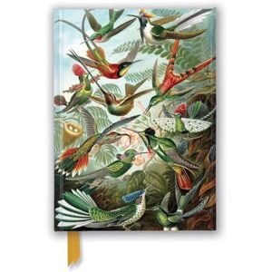 Ernst Haeckel: Hummingbirds (Foiled Journal) (Flame Tree Notebooks) Ernst Haeckel: Hummingbirds (Foiled Journal) (Flame Tree Notebooks)