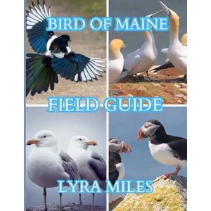 MILES, LYRA Bird of Maine field guide: Maine’s Birds: The complete Field Companion for Birders, Beginners, and Experts MILES, LYRA Bird of Maine field guide: Maine’s Birds: The complete Field Companion for Birders, Beginners, and Experts