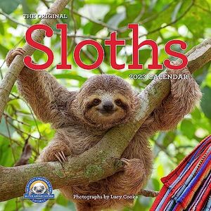 Cooke, Lucy Original Sloths Wall Calendar 2023: The Ultimate Experts at Slowing Down Cooke, Lucy Original Sloths Wall Calendar 2023: The Ultimate Experts at Slowing Down