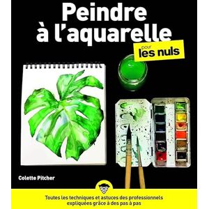 Pitcher, Colette Peindre à l'aquarelle pour les nuls Pitcher, Colette Peindre à l'aquarelle pour les nuls