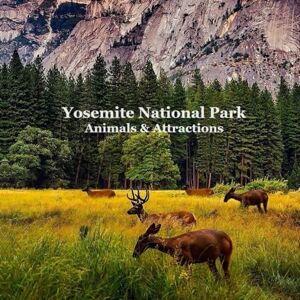 Grinslott, Billy Yosemite National Park Animals & Attractions Kids Book: Great Way for Kids to See the Animals and Attractions in Yosemite National Park Grinslott, Billy Yosemite National Park Animals & Attractions Kids Book: Great Way for Kids to See the Animals and Attractions in Yosemite National Park