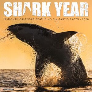 Willow Creek Press Shark Year 2026 Wall Calendar Willow Creek Press Shark Year 2026 Wall Calendar