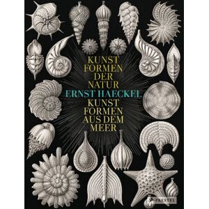 Breidbach, Olaf Ernst Haeckel: Kunstformen der Natur Kunstformen aus dem Meer Breidbach, Olaf Ernst Haeckel: Kunstformen der Natur Kunstformen aus dem Meer