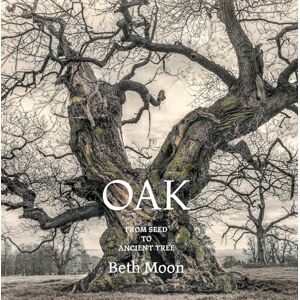 Moon, Beth Oak: From Seed to Ancient Tree Moon, Beth Oak: From Seed to Ancient Tree