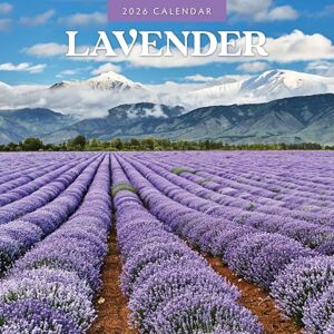 Red Robin Lavender 2026 Square Wall Calendar Red Robin Lavender 2026 Square Wall Calendar