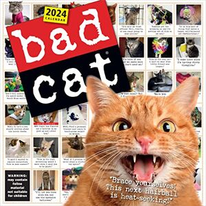 Workman Publishing Bad Cat Wall Calendar 2024: Celebrating the Misfits of the Feline World Workman Publishing Bad Cat Wall Calendar 2024: Celebrating the Misfits of the Feline World