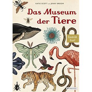Broom, Jenny Das Museum der Tiere: Eintritt frei! Sachbilderbuch im Großformat für Kinder ab 8 Jahren mit meisterhaften Illustrationen von Katie Scott zu über 200 Tieren Broom, Jenny Das Museum der Tiere: Eintritt frei! Sachbilderbuch im Großformat für Kinder ab 8 Jahren mit meisterhaften Illustrationen von Katie Scott zu über 200 Tieren
