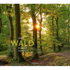 Ackermann Kunstverlag GmbH Wald Kalender 2027: Hochwertiger Natur-Kalender im großen Querformat (54x48 cm) Bäume und Pflanzenwelt im Wandel der Jahreszeiten Ackermann Kunstverlag GmbH Wald Kalender 2027: Hochwertiger Natur-Kalender im großen Querformat (54x48 cm) Bäume und Pflanzenwelt im Wandel der Jahreszeiten