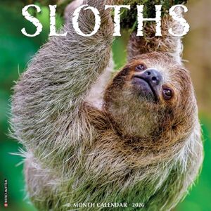Willow Creek Press Sloths 2026 Wall Calendar Willow Creek Press Sloths 2026 Wall Calendar