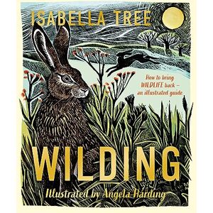 Tree, Isabella Wilding: How to Bring Wildlife Back an Illustrated Guide Tree, Isabella Wilding: How to Bring Wildlife Back an Illustrated Guide