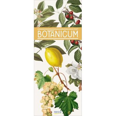 Botanicum 2027: Kunstkalender mit naturgetreuen und detailreichen Pflanzendarstellungen. Wandkalender im Hochformat: 28,5 x 69 cm Botanicum 2027: Kunstkalender mit naturgetreuen und detailreichen Pflanzendarstellungen. Wandkalender im Hochformat: 28,5 x 69 cm