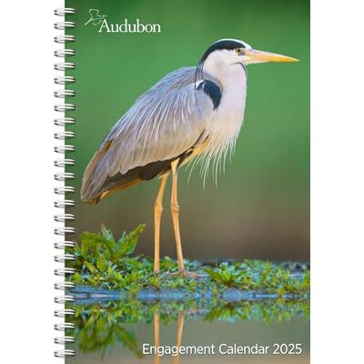 Society, National Audubon Audubon Engagement Calendar 2025: A Tribute to the Wilderness and Its Spectacular Landscapes Society, National Audubon Audubon Engagement Calendar 2025: A Tribute to the Wilderness and Its Spectacular Landscapes