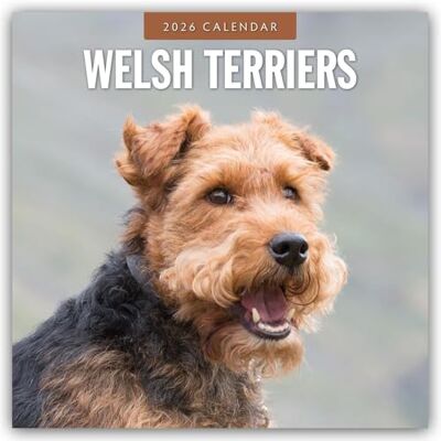 Red Robin Welsh Terriers 2026 Square Wall Calendar Red Robin Welsh Terriers 2026 Square Wall Calendar
