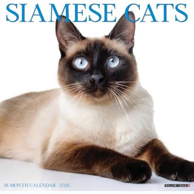 Willow Creek Press Siamese Cats 2026 Wall Calendar Willow Creek Press Siamese Cats 2026 Wall Calendar