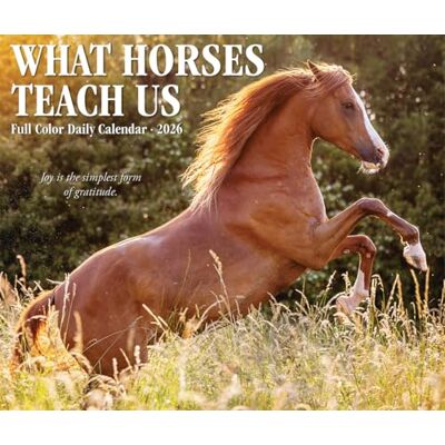 Willow Creek Press What Horses Teach Us 2026 Box Calendar Willow Creek Press What Horses Teach Us 2026 Box Calendar