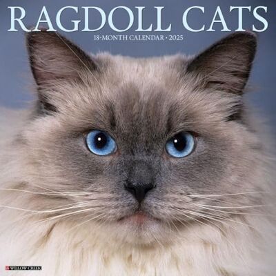 Willow Creek Press Ragdoll Cats 2025 Wall Willow Creek Press Ragdoll Cats 2025 Wall