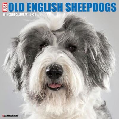 Willow Creek Press Old English Sheepdogs 2025 Wall Willow Creek Press Old English Sheepdogs 2025 Wall