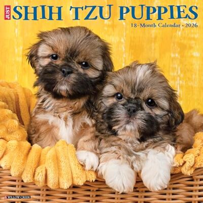 Willow Creek Press Shih Tzu Puppies 2026 Wall Calendar Willow Creek Press Shih Tzu Puppies 2026 Wall Calendar