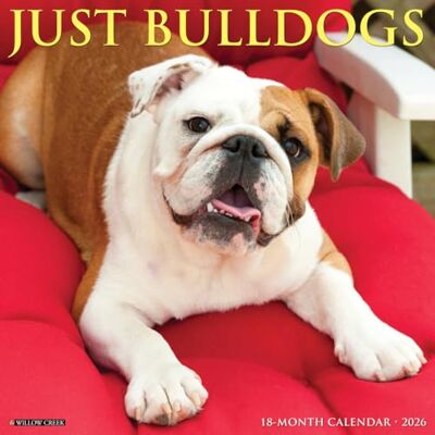 Willow Creek Press Bulldogs 2026 Wall Calendar Willow Creek Press Bulldogs 2026 Wall Calendar