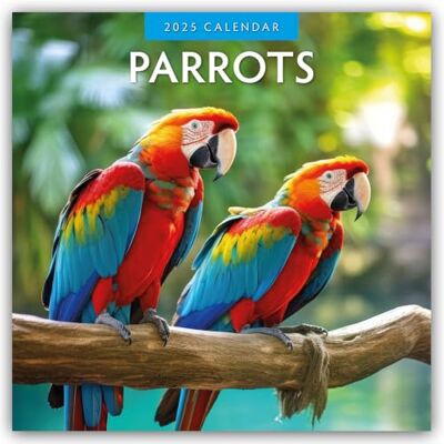 Red Robin Parrots 2025 Square Wall Calendar Red Robin Parrots 2025 Square Wall Calendar