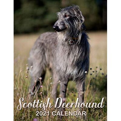 Lucas, Tom Scottish Deerhound 2021 Calendar: Monthly Calendar Enhance Home or Office Planning and Organization Lucas, Tom Scottish Deerhound 2021 Calendar: Monthly Calendar Enhance Home or Office Planning and Organization