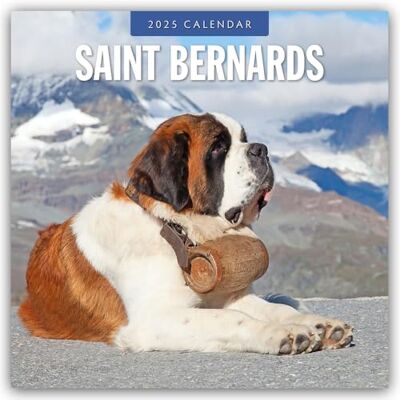 Red Robin Saint Bernards 2025 Square Wall Calendar Red Robin Saint Bernards 2025 Square Wall Calendar