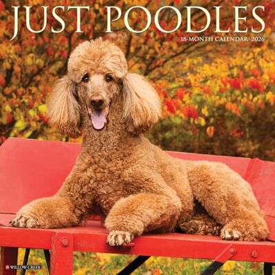 Willow Creek Press Poodles 2026 Wall Calendar Willow Creek Press Poodles 2026 Wall Calendar