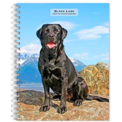 Publishers, Browntrout Black Labrador Retrievers 2026 6 x 7.75 Inch Spiral-Bound Wire-O Weekly Engagement Planner Calendar New Full-Color Image Every Week BrownTrout Animals Dog Breeds Publishers, Browntrout Black Labrador Retrievers 2026 6 x 7.75 Inch Spiral-Bound Wire-O Weekly Engagement Planner Calendar New Full-Color Image Every Week BrownTrout Animals Dog Breeds