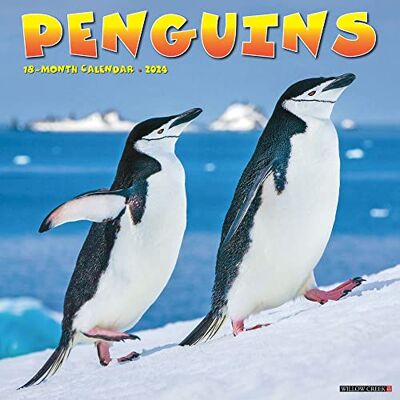 Willow Creek Press Penguins 2024 12 X 12 Wall Calendar Willow Creek Press Penguins 2024 12 X 12 Wall Calendar