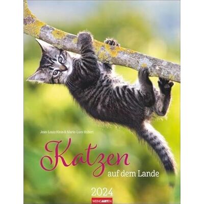Harenberg u.Weingarten Katzen auf dem Lande Kalender 2024 Harenberg u.Weingarten Katzen auf dem Lande Kalender 2024