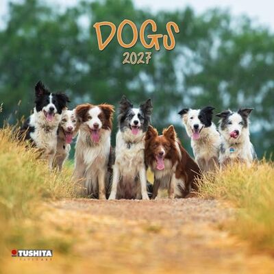 Dogs 2027: Kalender 2027 Dogs 2027: Kalender 2027