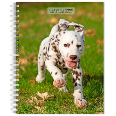 Publishers, Browntrout I Love Puppies 2026 6 x 7.75 Inch Spiral-Bound Wire-O Weekly Engagement Planner Calendar New Full-Color Image Every Week BrownTrout Animals Dog Breeds Puppy Publishers, Browntrout I Love Puppies 2026 6 x 7.75 Inch Spiral-Bound Wire-O Weekly Engagement Planner Calendar New Full-Color Image Every Week BrownTrout Animals Dog Breeds Puppy