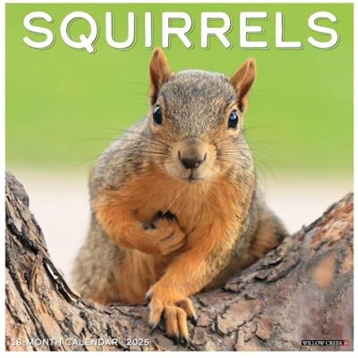 Willow Creek Press Squirrels 2025 Wall Willow Creek Press Squirrels 2025 Wall
