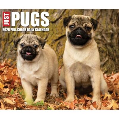 Willow Creek Press Just Pugs 2026 Box Calendar Willow Creek Press Just Pugs 2026 Box Calendar